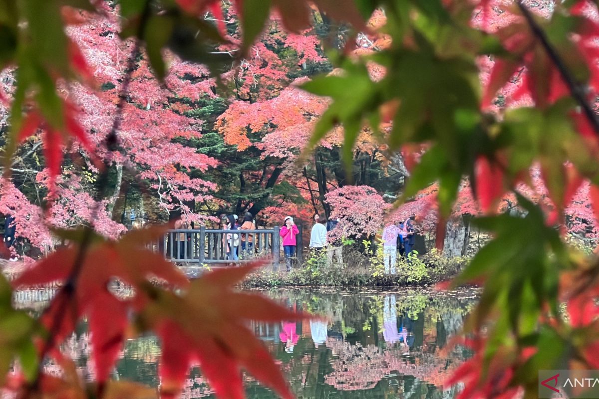 Keindahan Kota Karuizawa dengan pesona musim gugurnya di Prefektur Nagano
