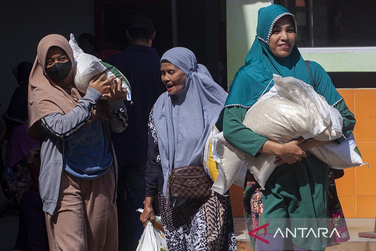 Jokowi: Social aid lowers rice prices, not increases them