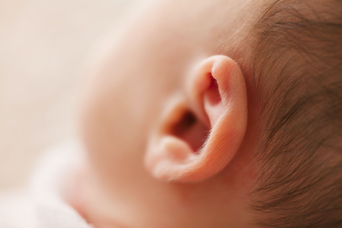 Orang dengan telinga kecil masih bisa berkomunikasi