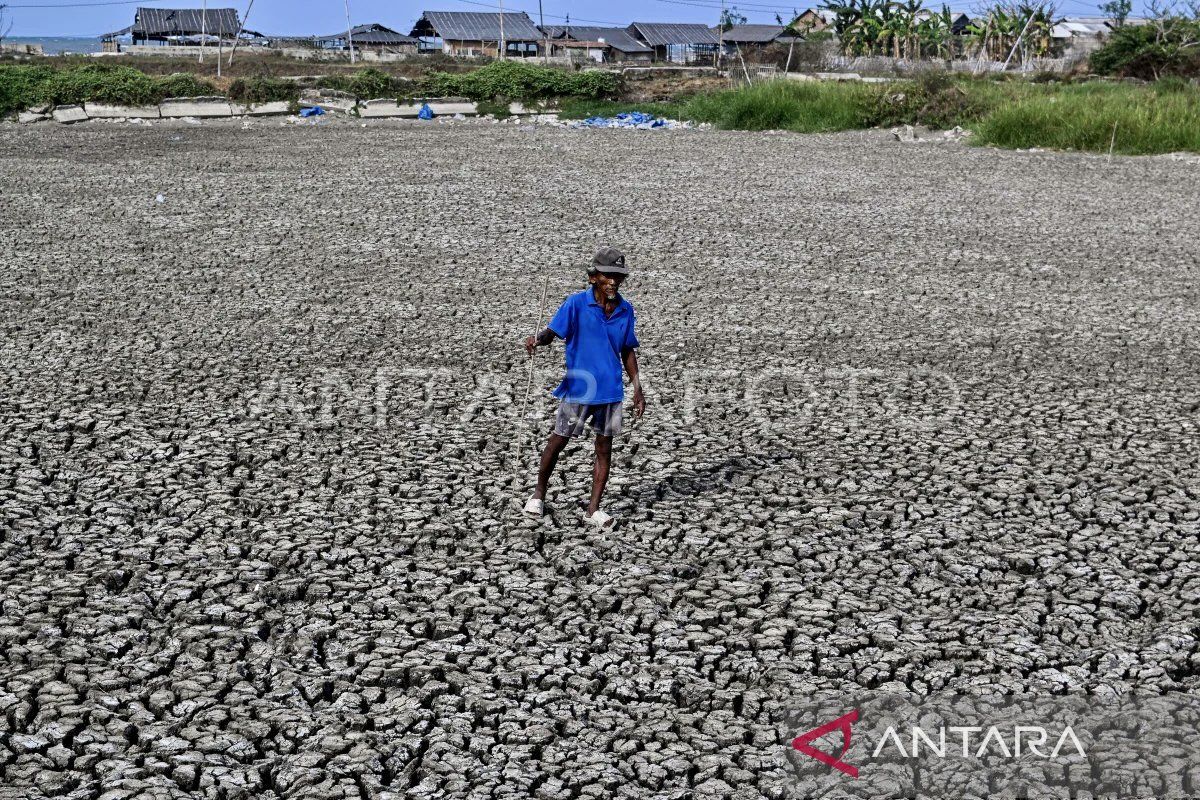 Baznas salurkan Rp1,3 miliar, atasi dampak El Nino