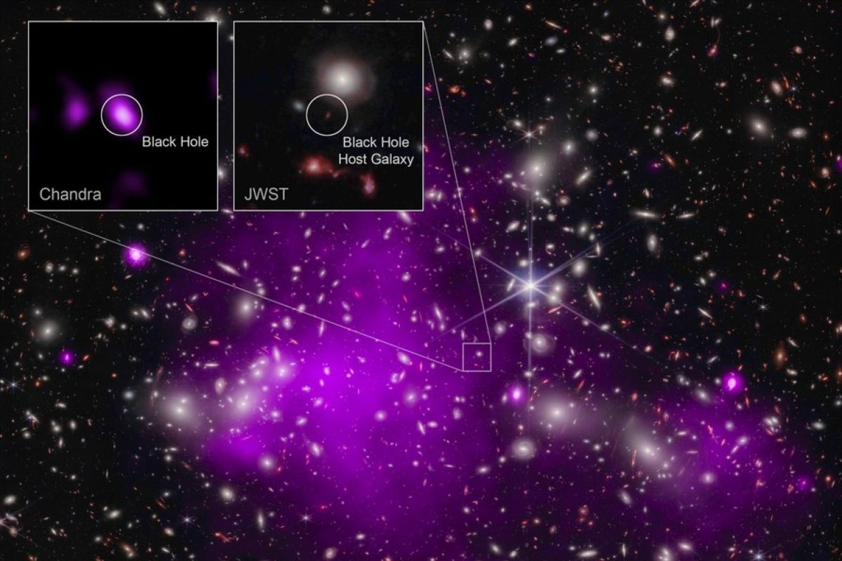 NASA temukan lubang hitam dengan jarak terjauh yang pernah terdeteksi