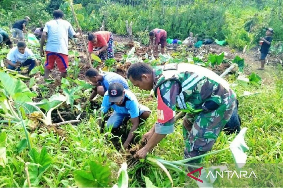 Masyarakat Kajasbo Biak olah lahan tidur untuk ditanam jagung