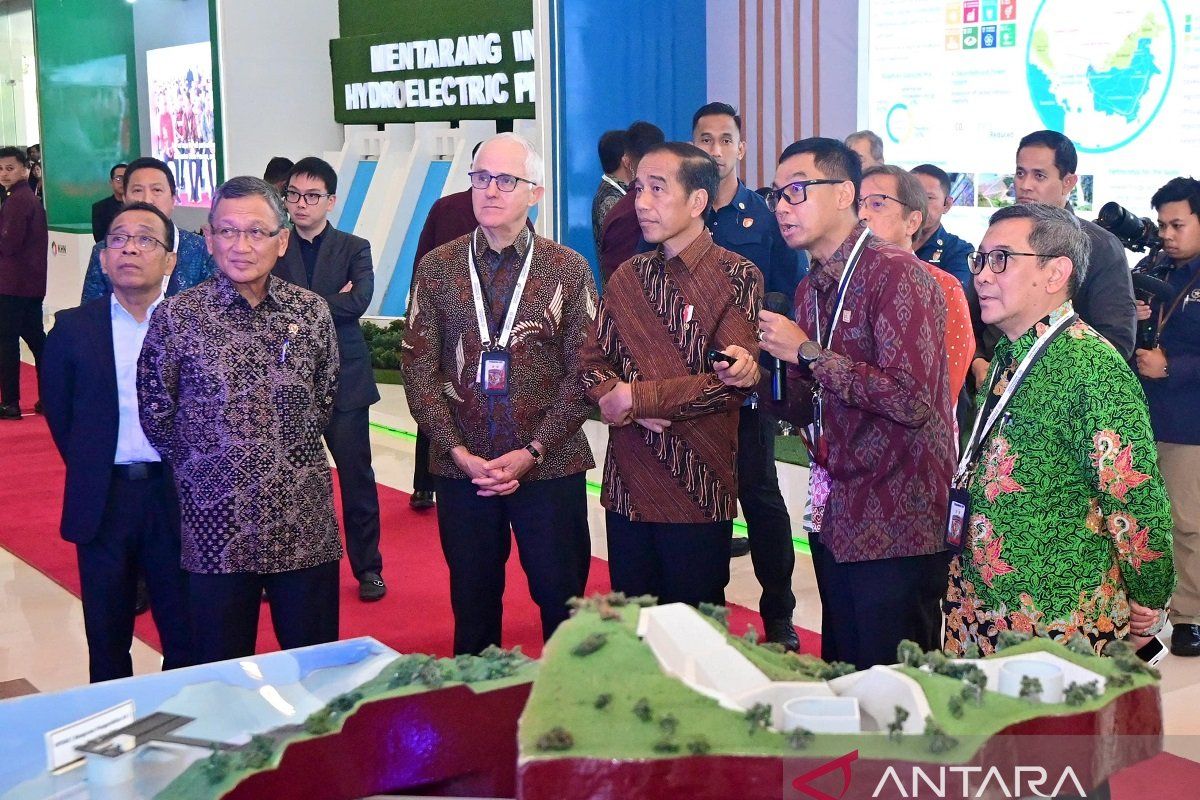 Dirut PLN paparkan pengembangan hydropower di tanah air