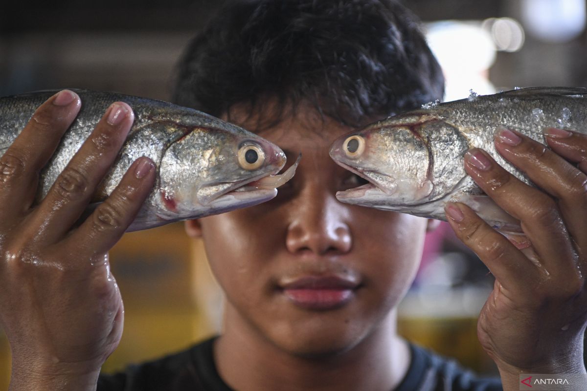 Consumption of fish, GDP positively correlated: Indonesian minister