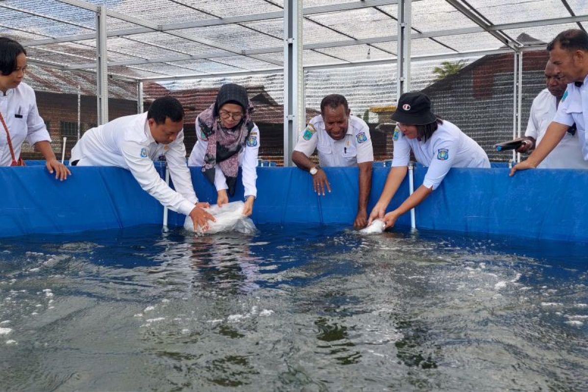 Pemkab Sorong bantu sarpras pada kelompok budidaya ikan air