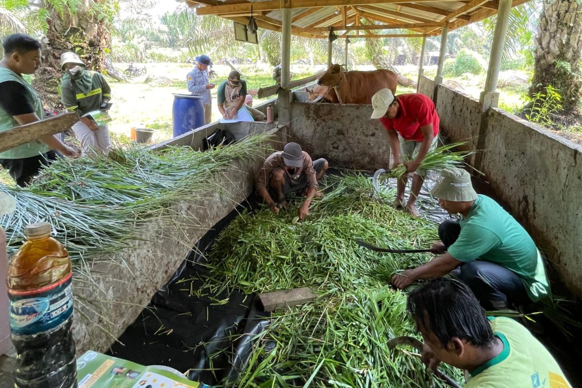 BRGM gencarkan edukasi perlindungan gambut di Kalimantan Barat