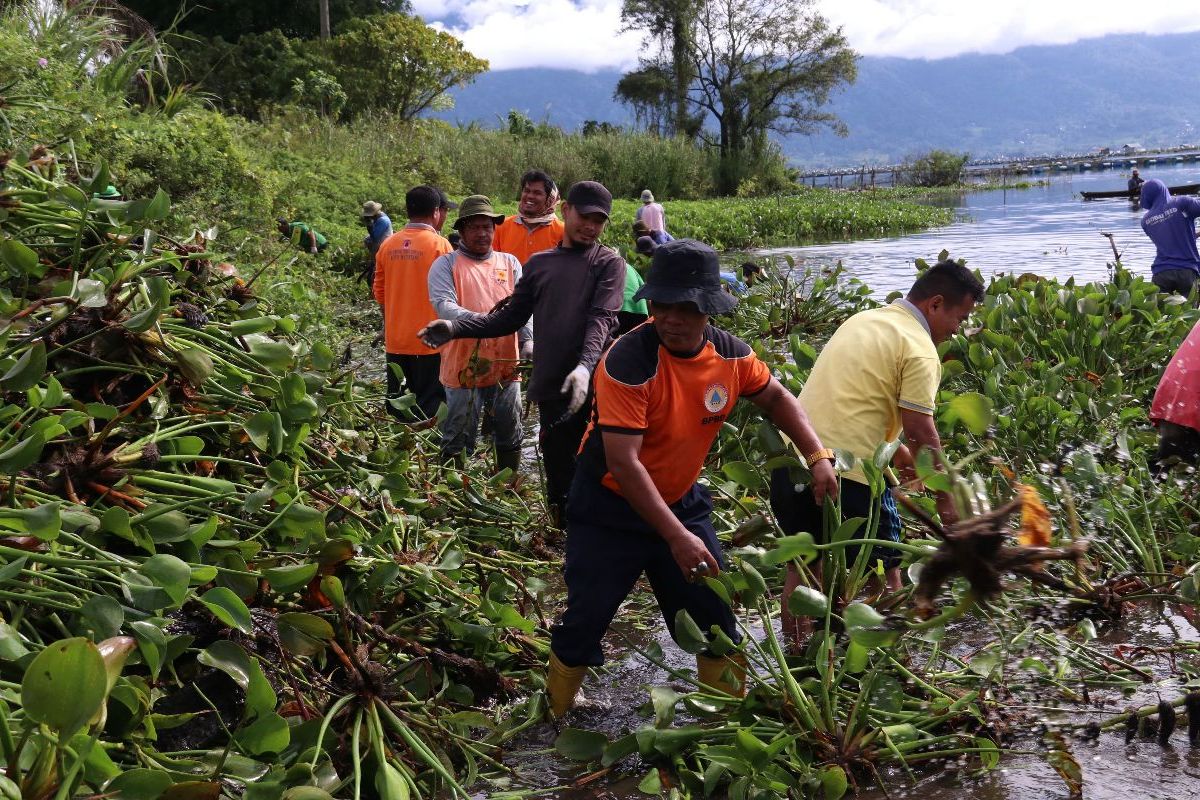 Pemkab Agam tingkatkan gotong royong bersihkan Danau Maninjau