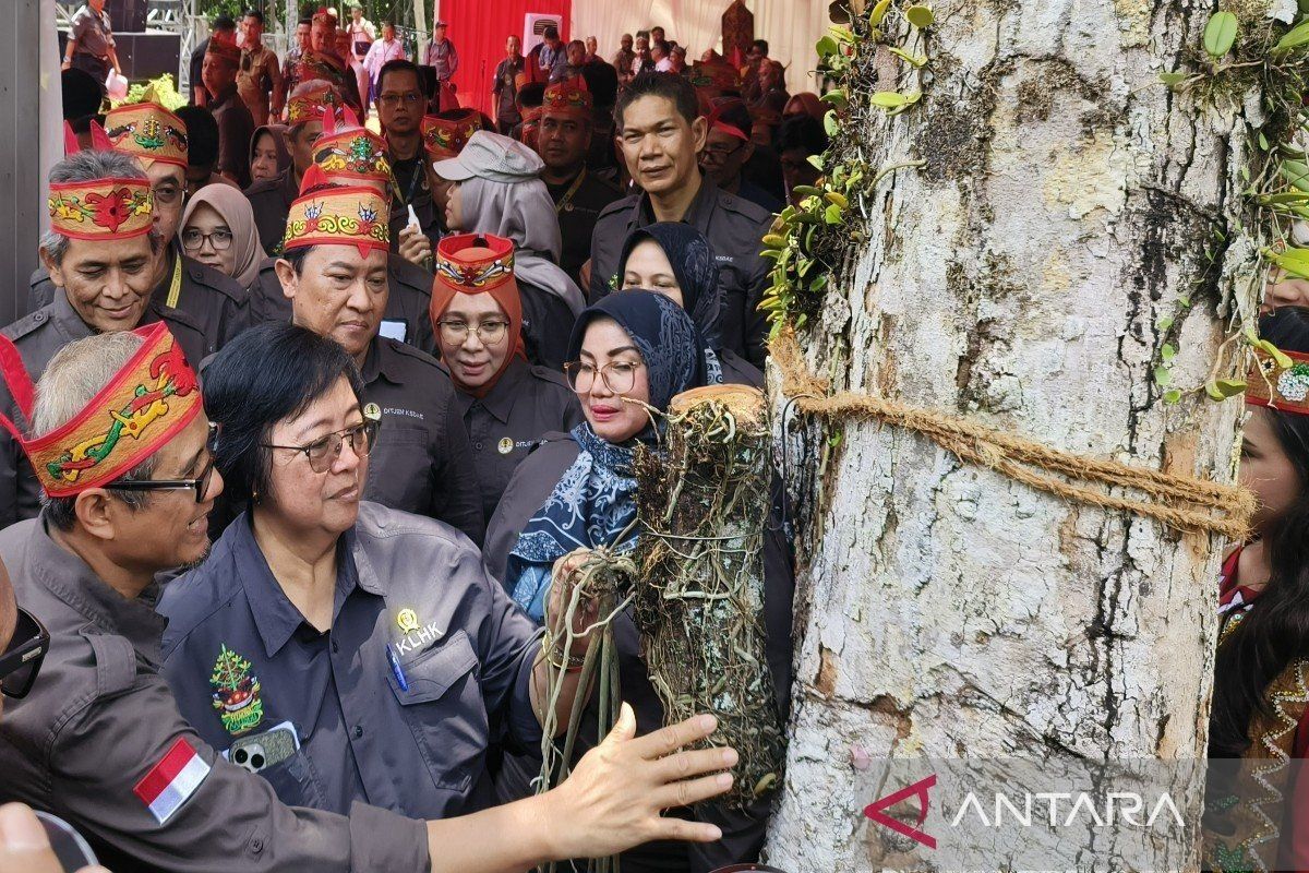 Menteri LHK Siti Nurbaya serukan penggiatan upaya pelestarian alam