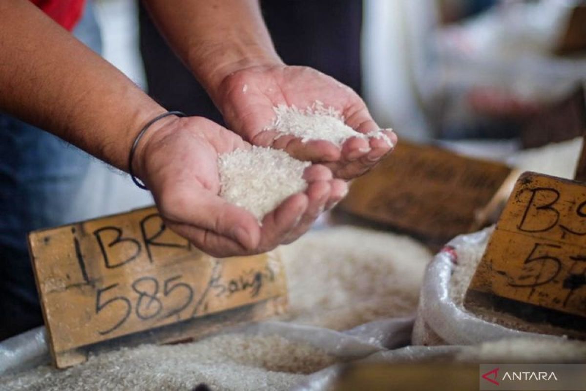 Sosiolog sebut perpanjangan bansos beras dibutuhkan masyarakat rentan