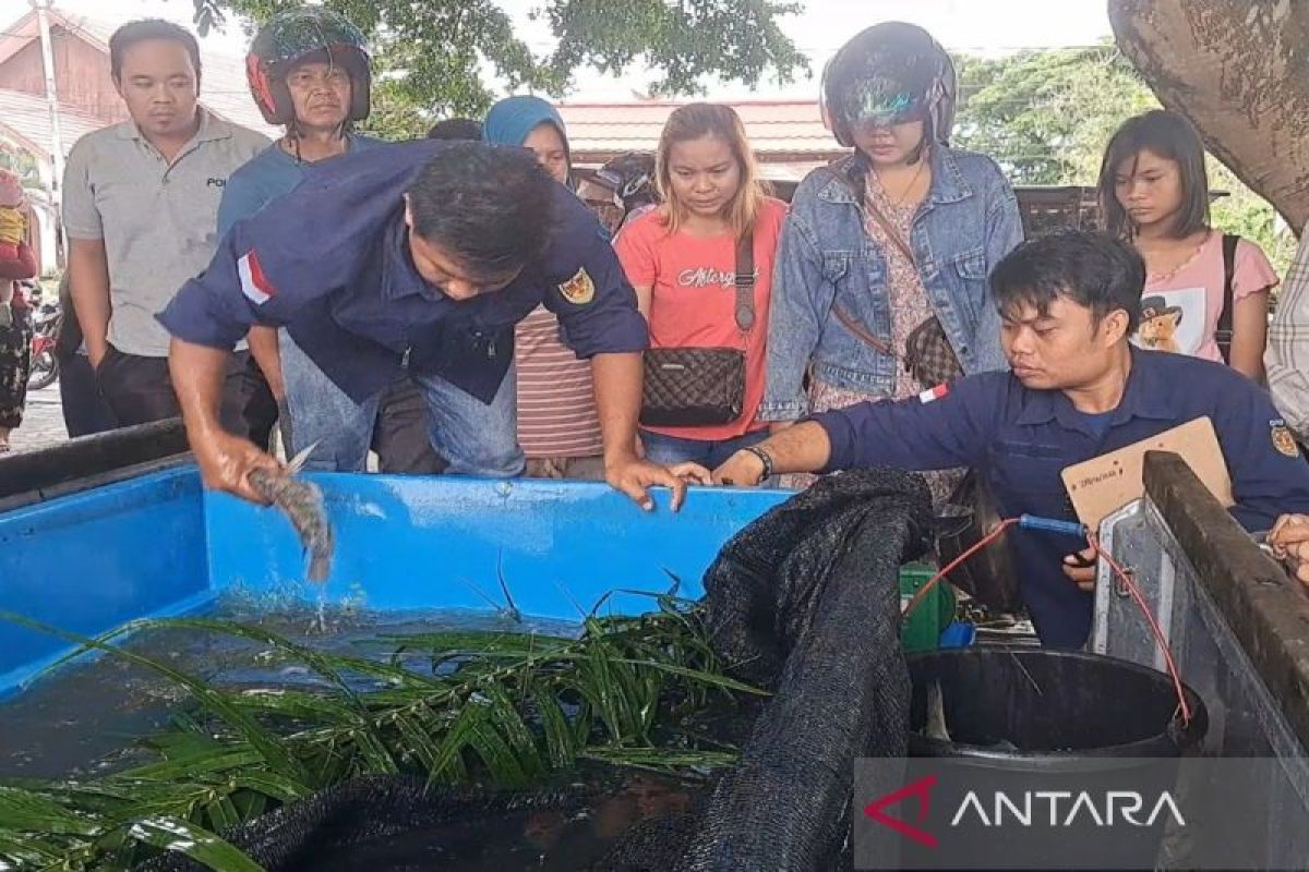 Pasar penyeimbang diharap tekan harga bahan pokok di Gumas