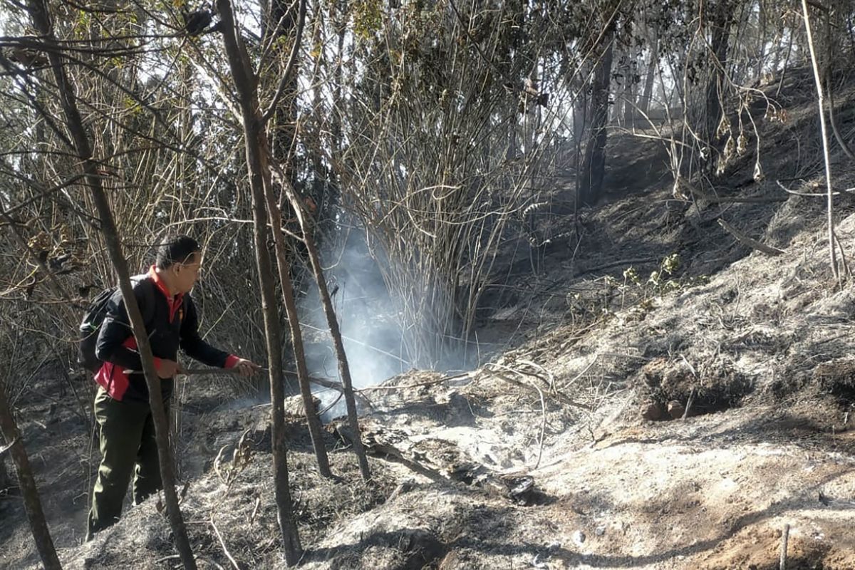 BPBD: 46 hektare lahan di lereng Gunung Kawi terdampak kebakaran