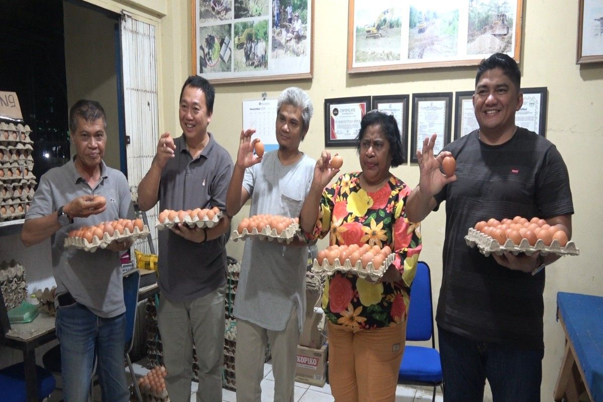 Asosiasi peternak ayam petelur sebut stok telur Papua surplus