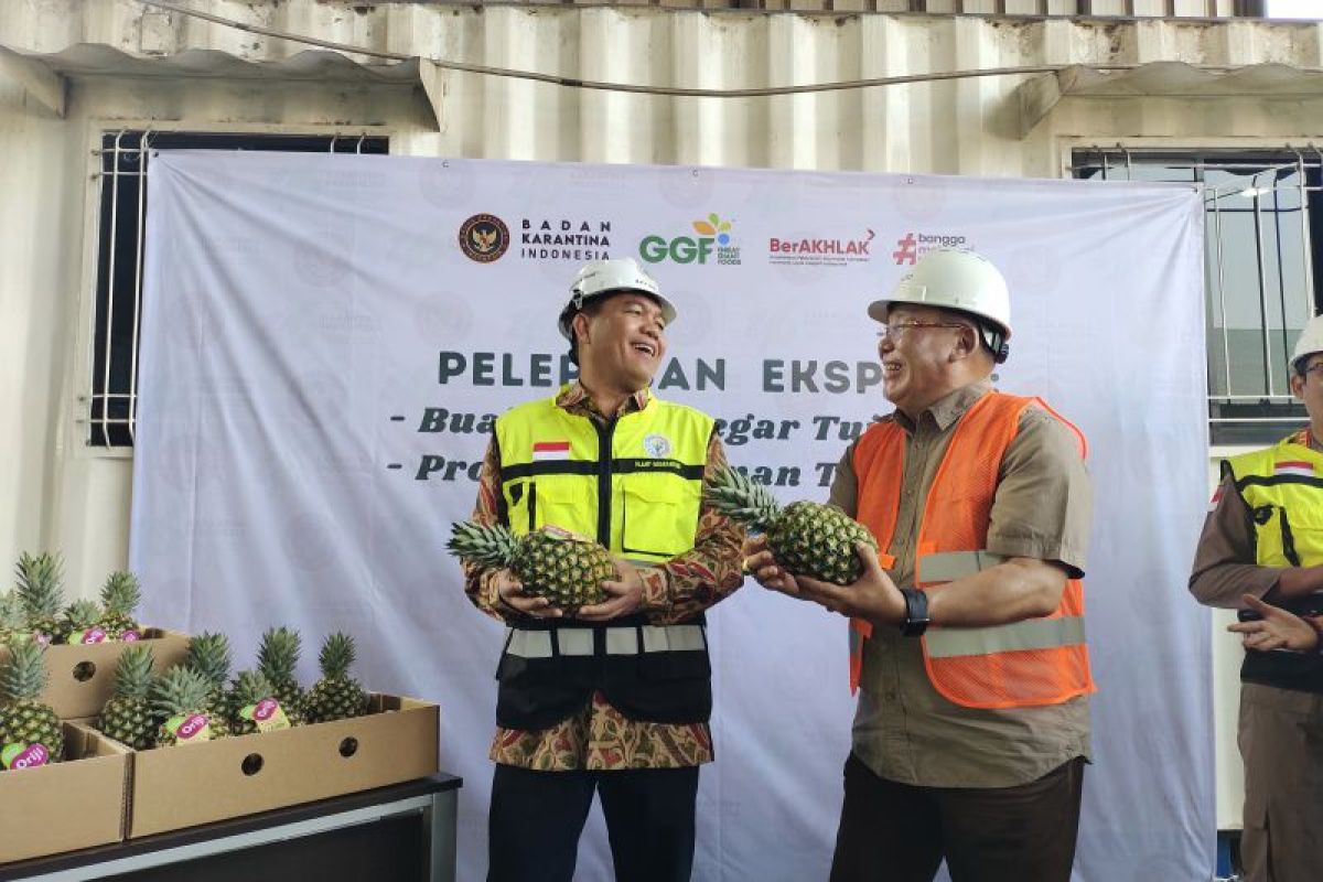 Lampung ekspor 4.176 ton nanas ke China