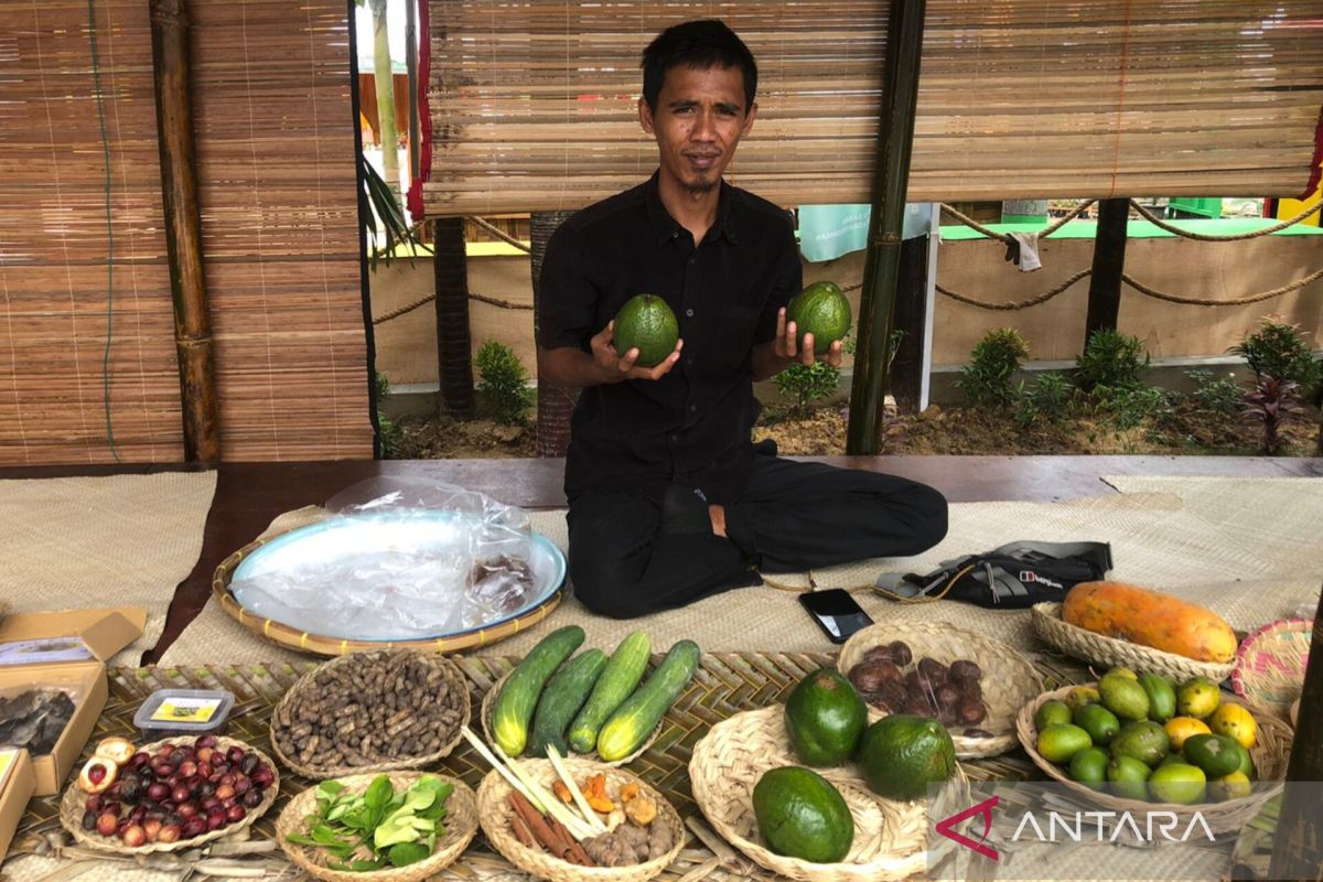 Pemko Sabang potensi pertanian buah alpukat di PKA 8