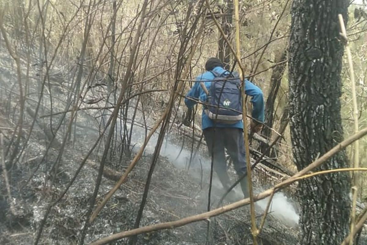 Medan ekstrem, pemadaman api di lereng Gunung Kawi terkendala