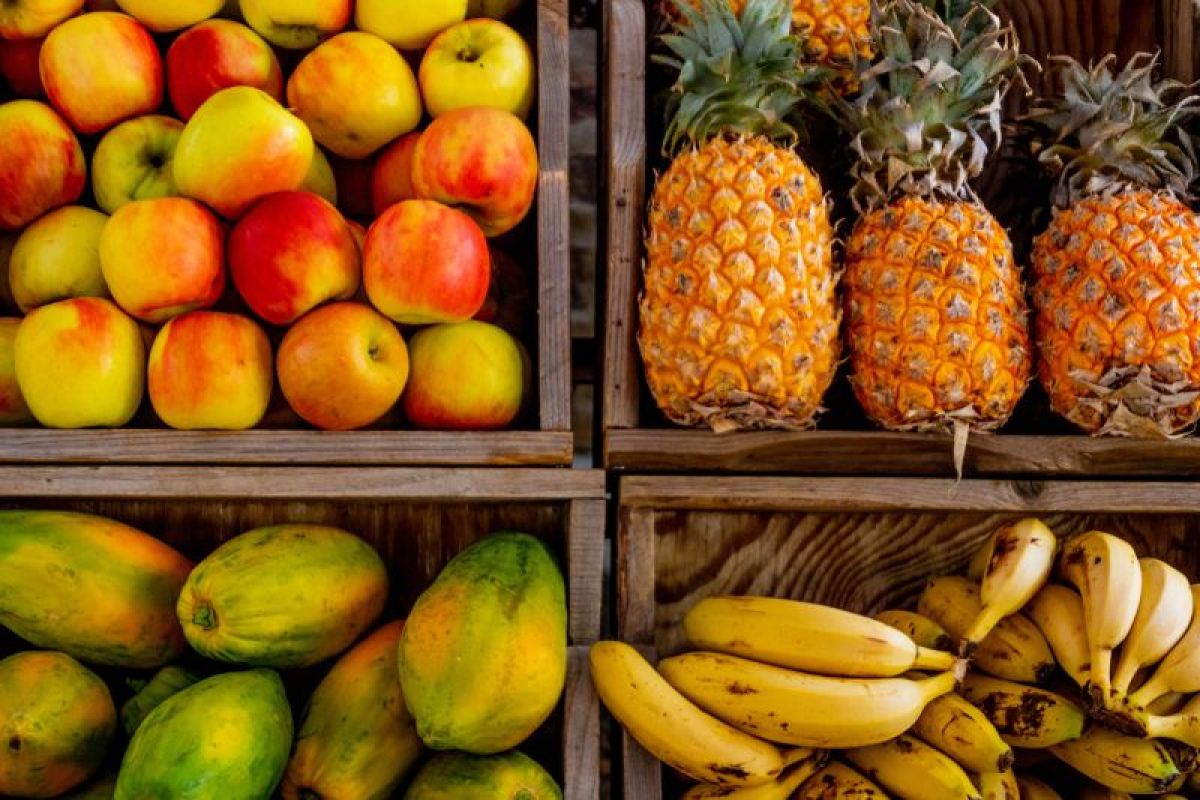 Wanita hamil perlu makan beragam buah