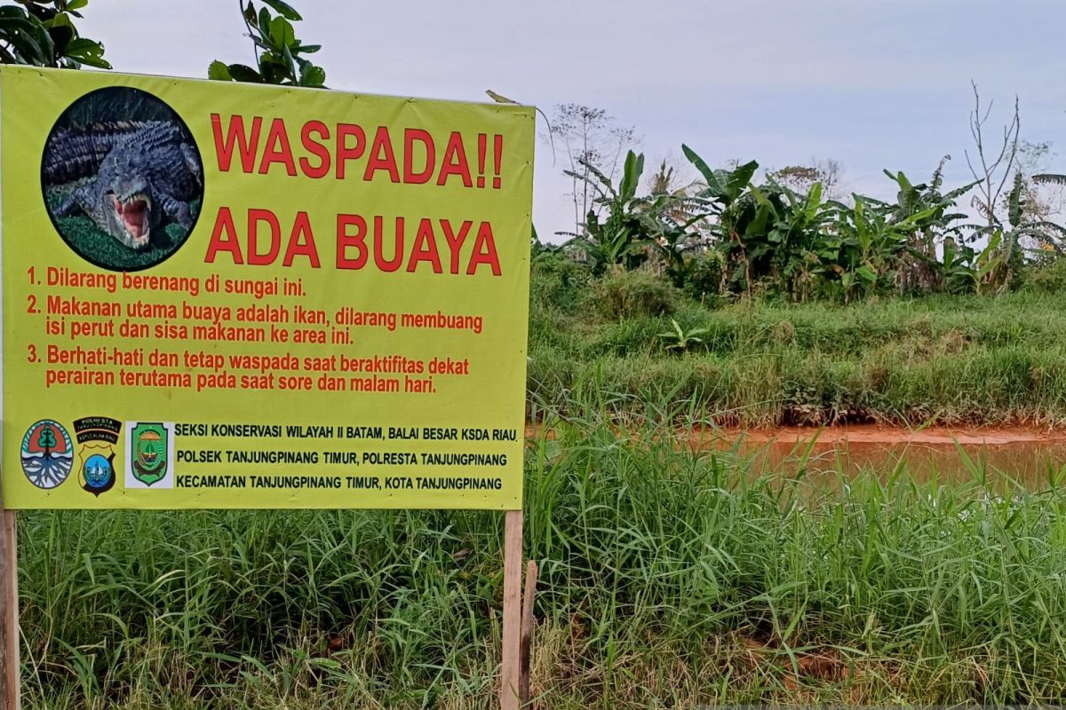 Aparat kepolisian pasang papan peringatan waspada buaya di sungai Tanjungpinang