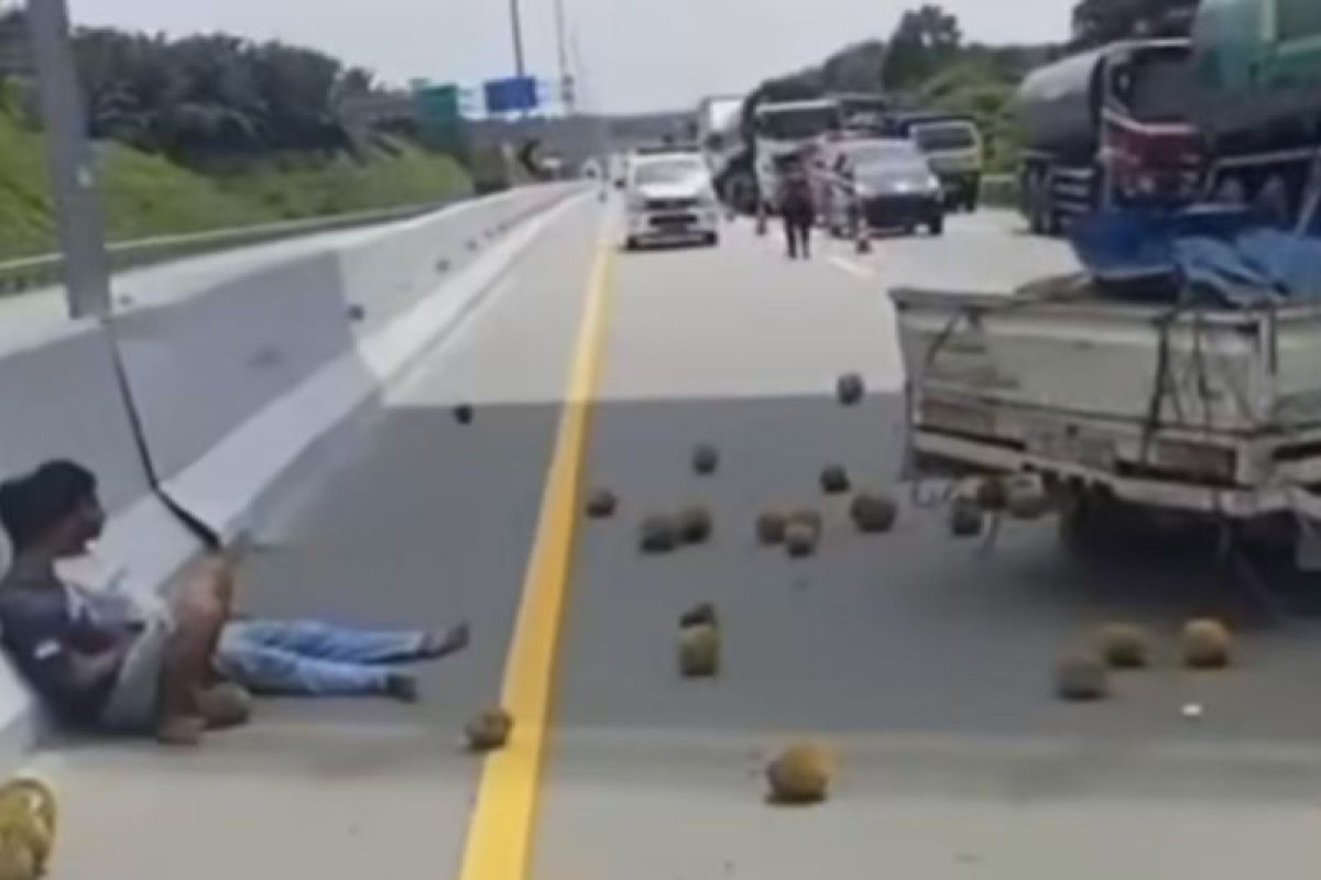 Mobil pengangkut durian kecelakaan di Tol Pekanbaru-Dumai, satu tewas