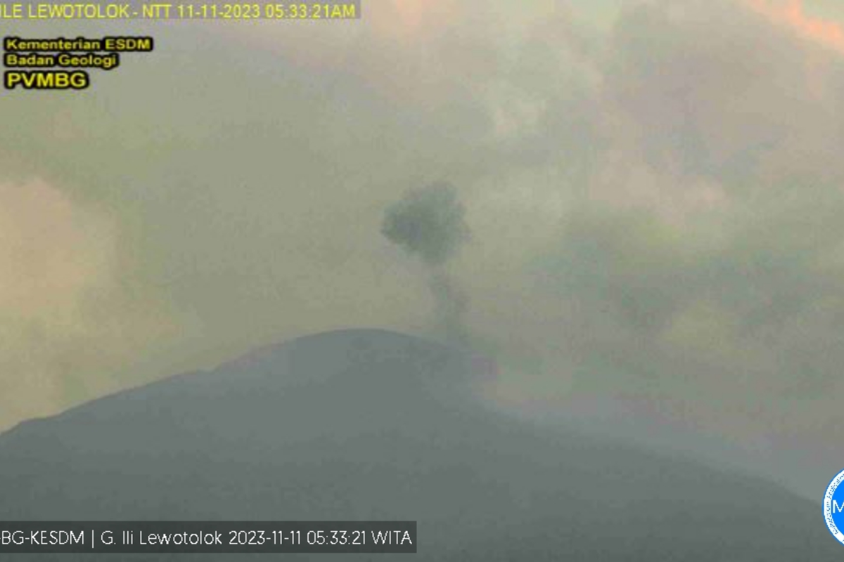 PVMBG rekam dua erupsi di Gunung Lewotolok
