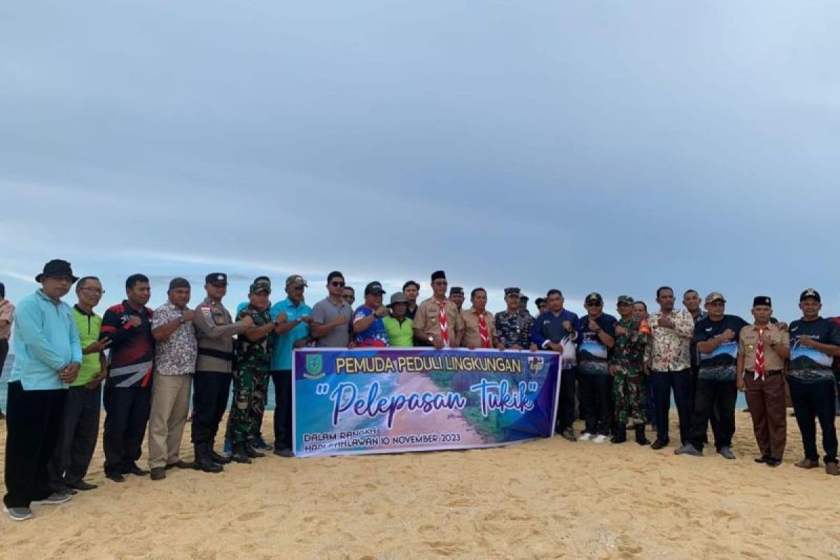 Pemkab Natuna lepasliarkan ratusan tukik di Pantai Sisi Serasan