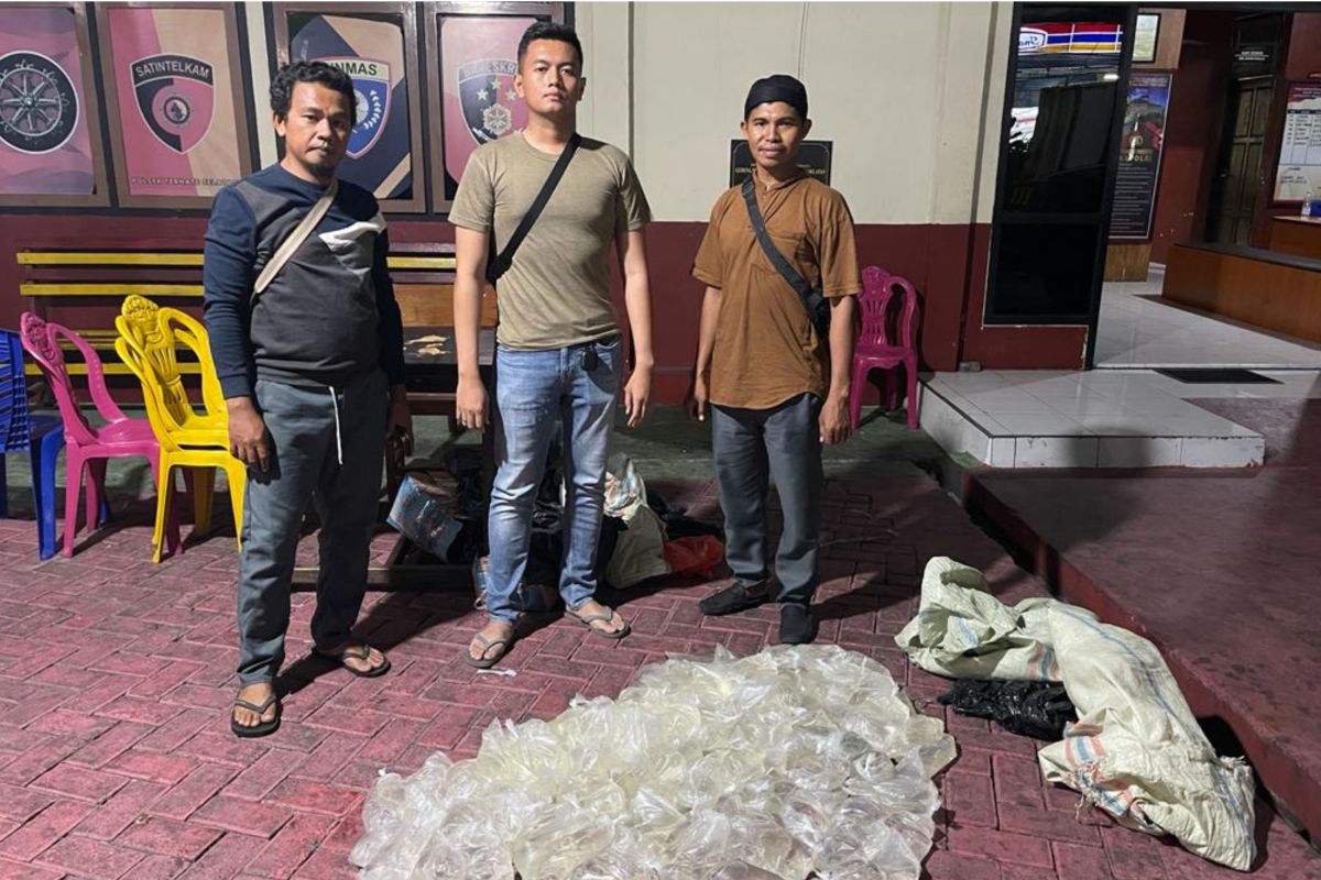 Polisi Ternate amankan ratusan kantong miras yang dikirim lewat kapal fery