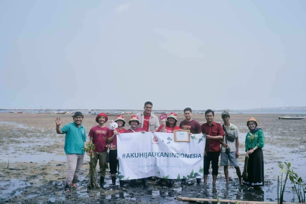 Akulaku Group tanam 1001 mangrove di Bali guna pelestarian  