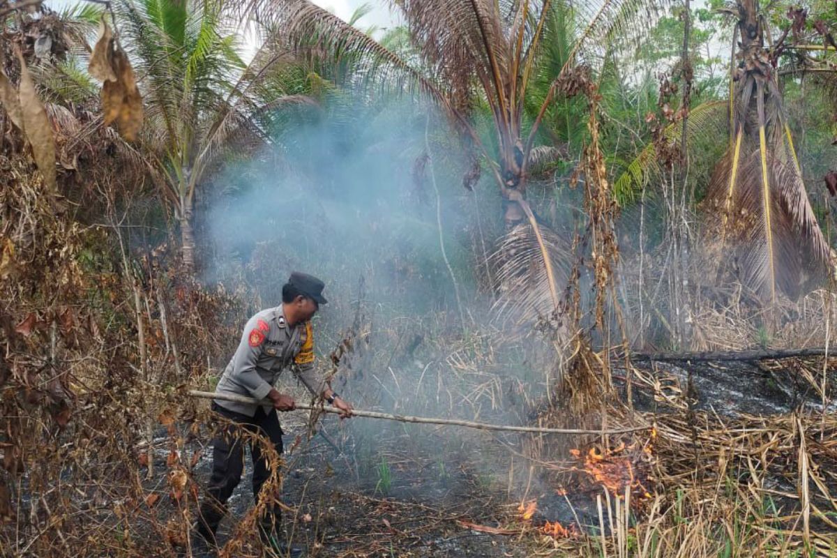 Personel Polres Tanimbar bantu warga padamkan kebakaran hutan