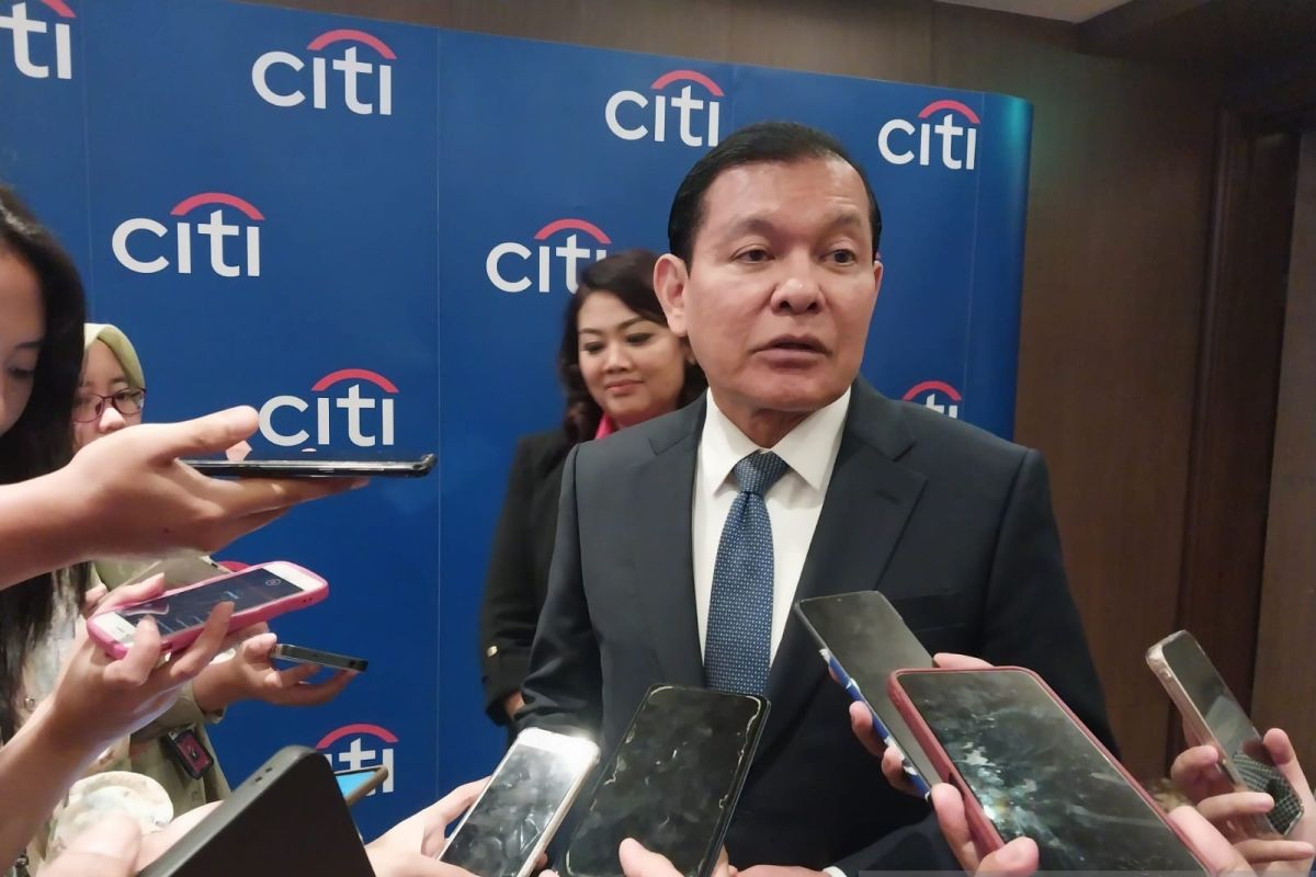 Citi kembangkan tim khusus guna fasilitasi investasi asing ke RI