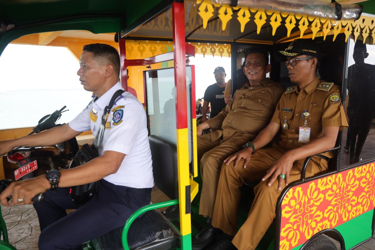 Pemprov Kepri hadirkan 11 unit kendaraan listrik di Pulau Penyengat