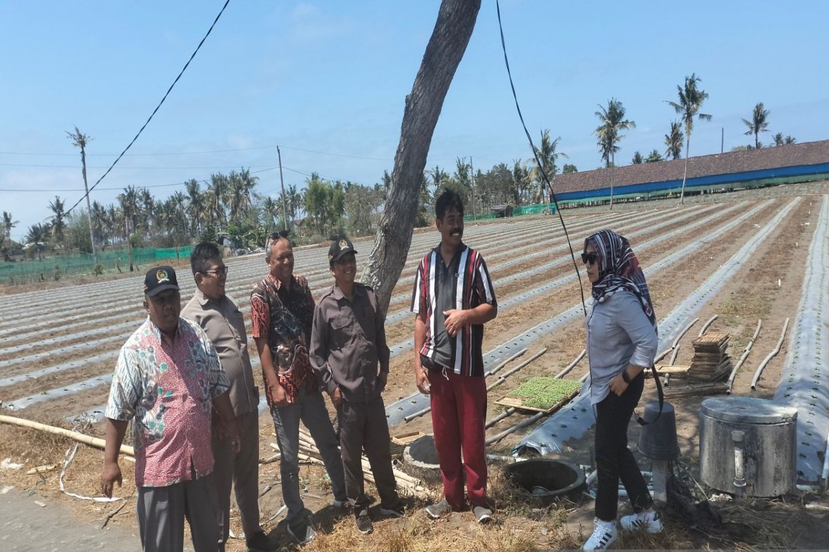 Pemkab Kulon Progo diminta membuat lahan pengembangan benih bawang merah