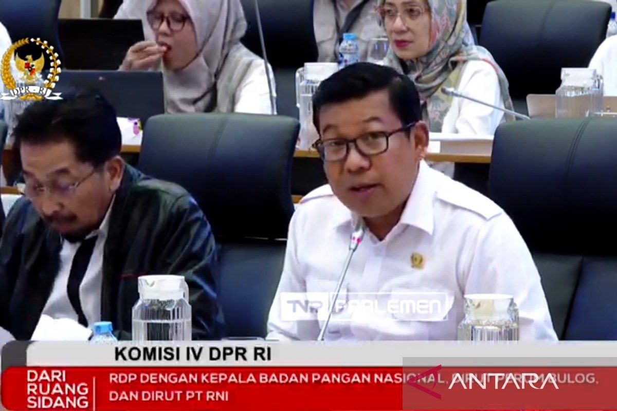 Anggota DPR minta Bapanas fokus bangun ketahanan pangan