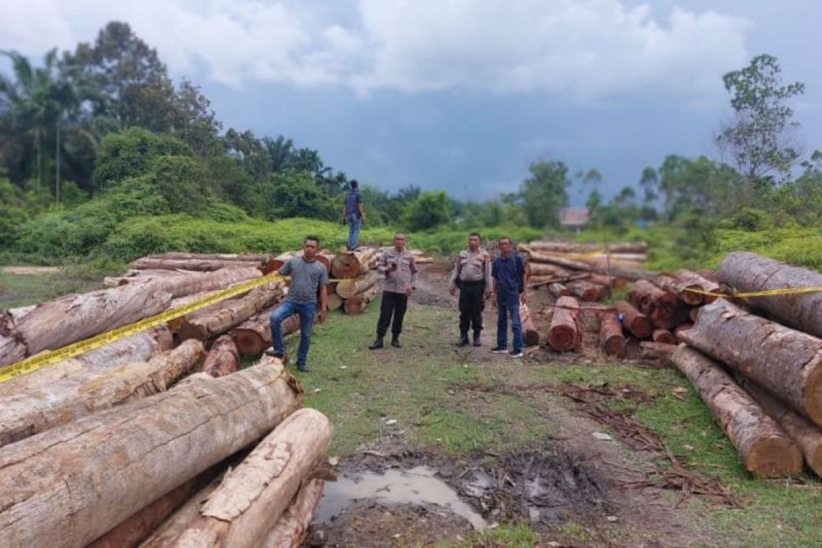 Polisi Kampar-Riau temukan 215 tual kayu diduga hasil pembalakan liar