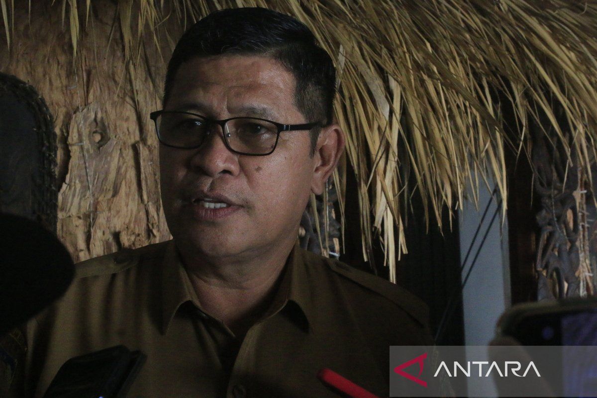 Dinkes Kabupaten Jayapura minta  jaringan internet puskesmas diperkuat