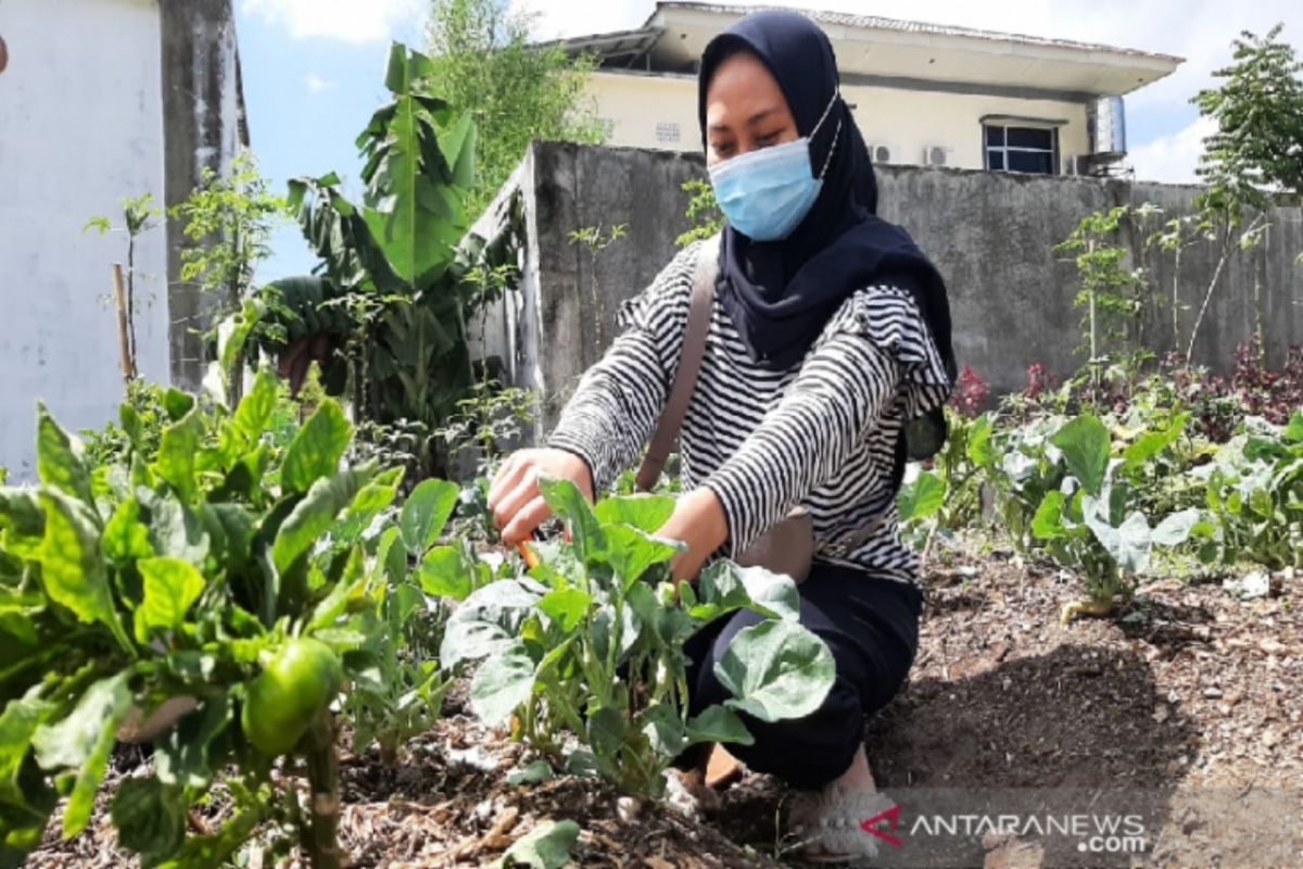 Pemkot Medan: Penerapan urban  farming langkah pengendalian inflasi