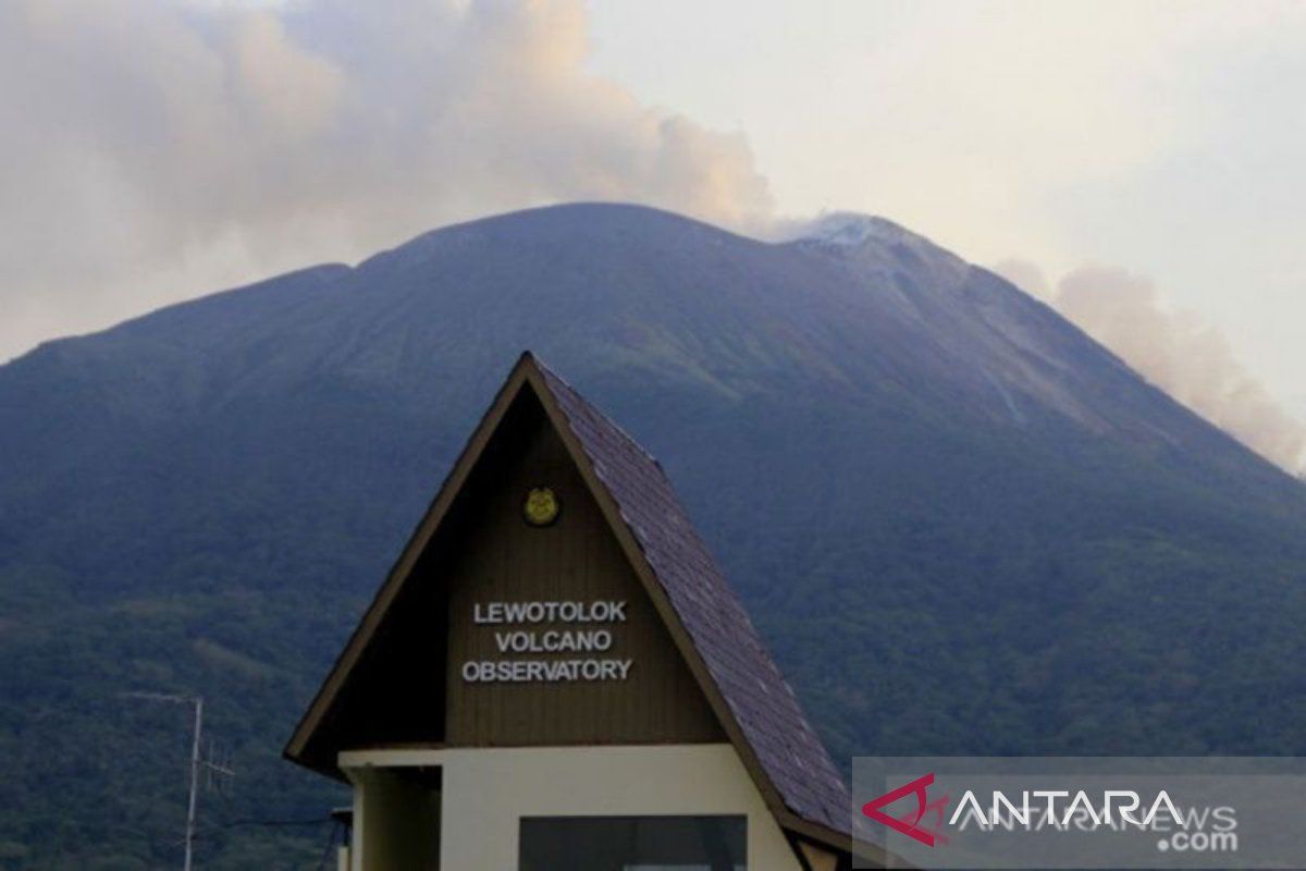 90 kali letusan terjadi di puncak Gunung Ile Lewotolok