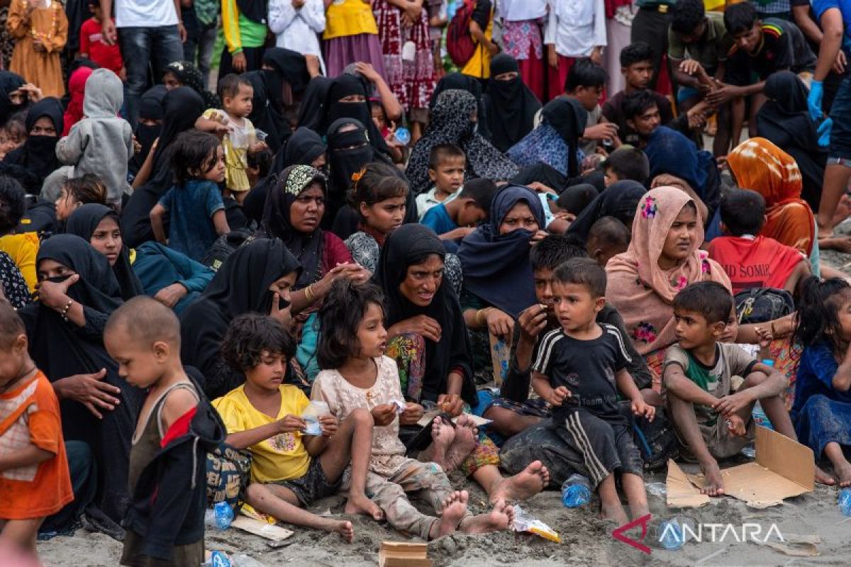 Sebanyak 196 Orang Imigran Rohingya Terdampar Di Pidie Aceh - ANTARA News