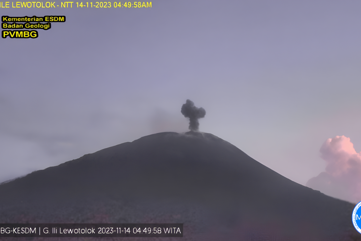 Gunung Ili Lewotolok NTT kembali semburkan abu vulkanik