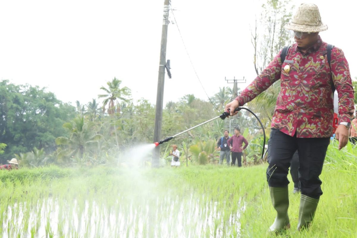 Gubernur Bali bagikan pupuk hayati cair dukung pertanian organik