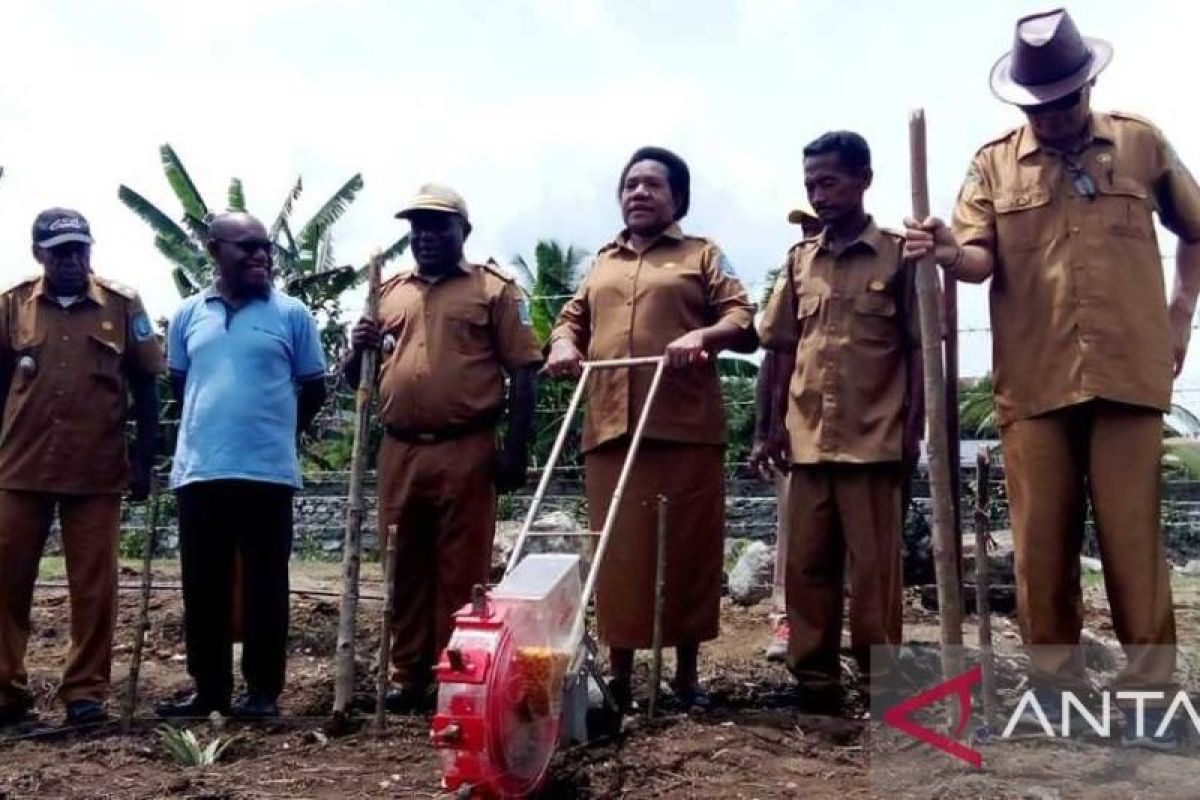 Pemkab Jayapura dukung kelompok petani OAP Rp1 miliar tingkatkan ekonomi