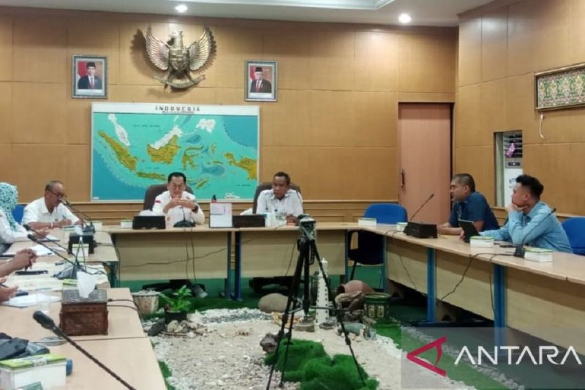 Belitung jajaki kerjasama penerbangan domestik bersama Pelita Air