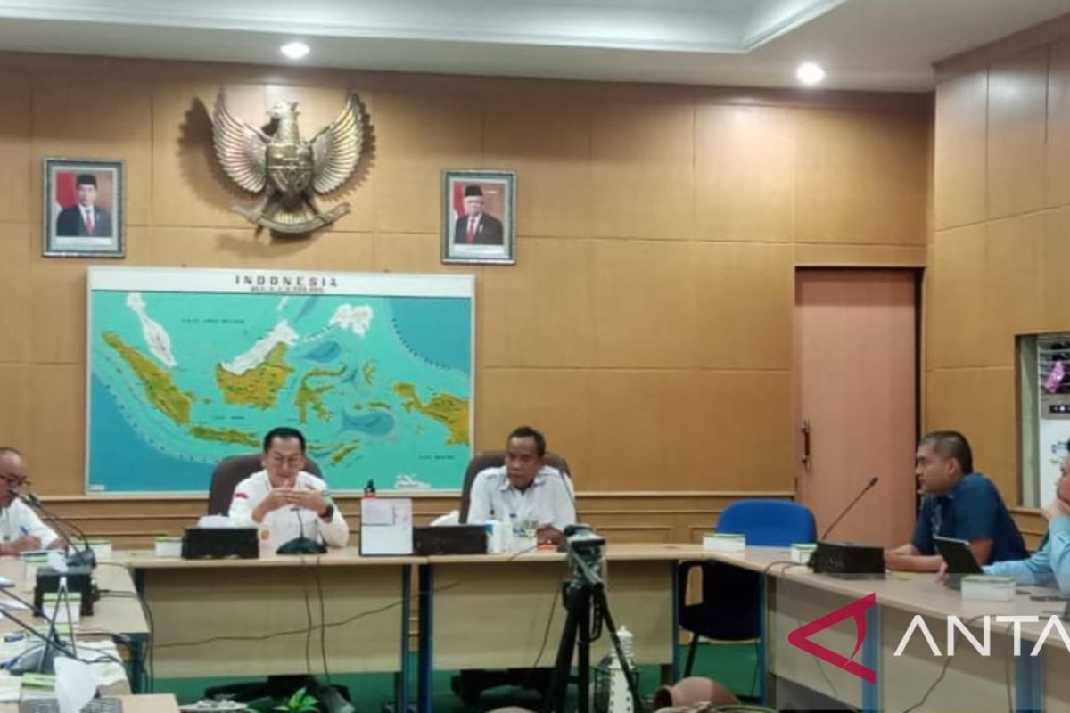 Belitung jajaki kerja sama penerbangan domestik Pelita Air