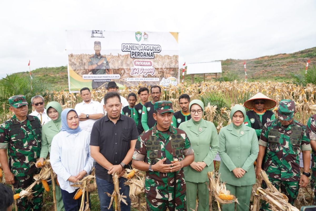 Pangdam IM berharap pengembangan jagung tumpang sari berlanjut