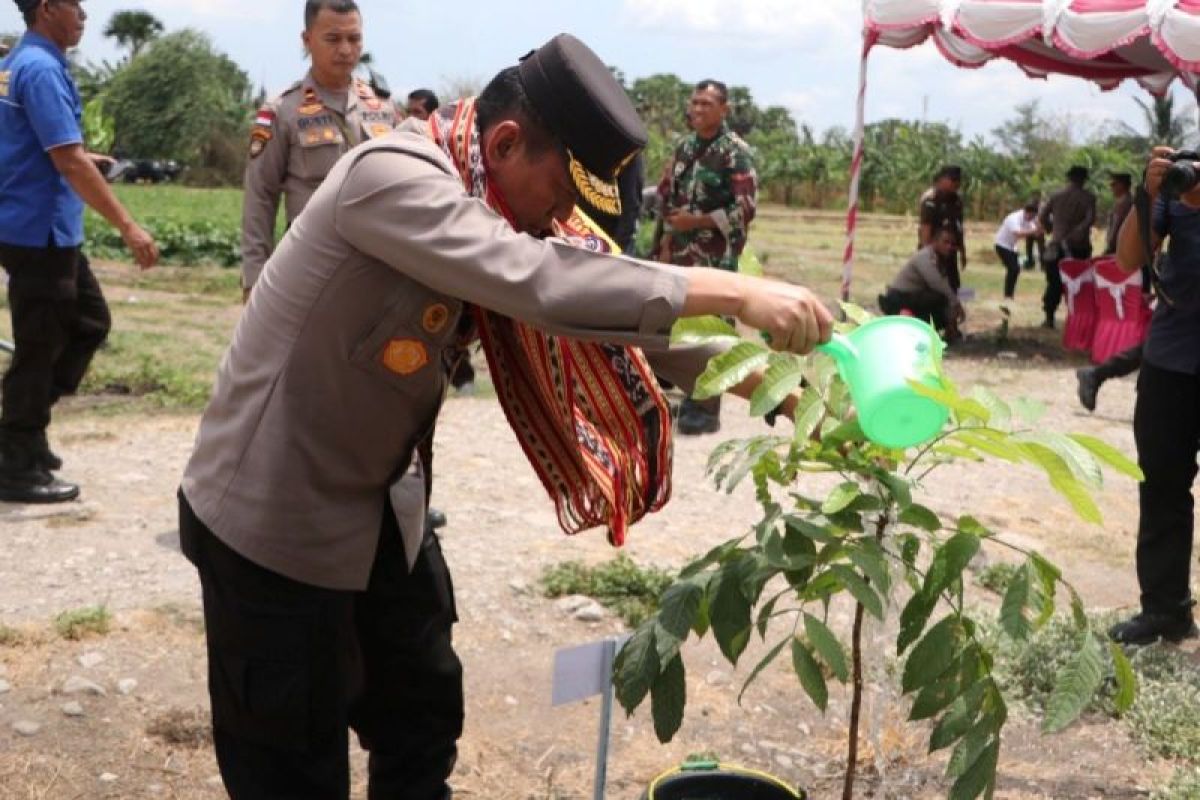 Wakapolda  pimpin gerakan menanam pohon di SMKN I Kupang