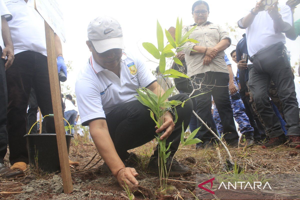 PT Freeport Indonesia beri 20.000 bibit bambu perlindungan ekosistem CAP Cycloop
