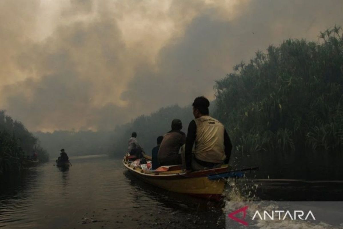 BRGM nyatakan 13 juta hektare lahan gambut dalam kondisi rusak