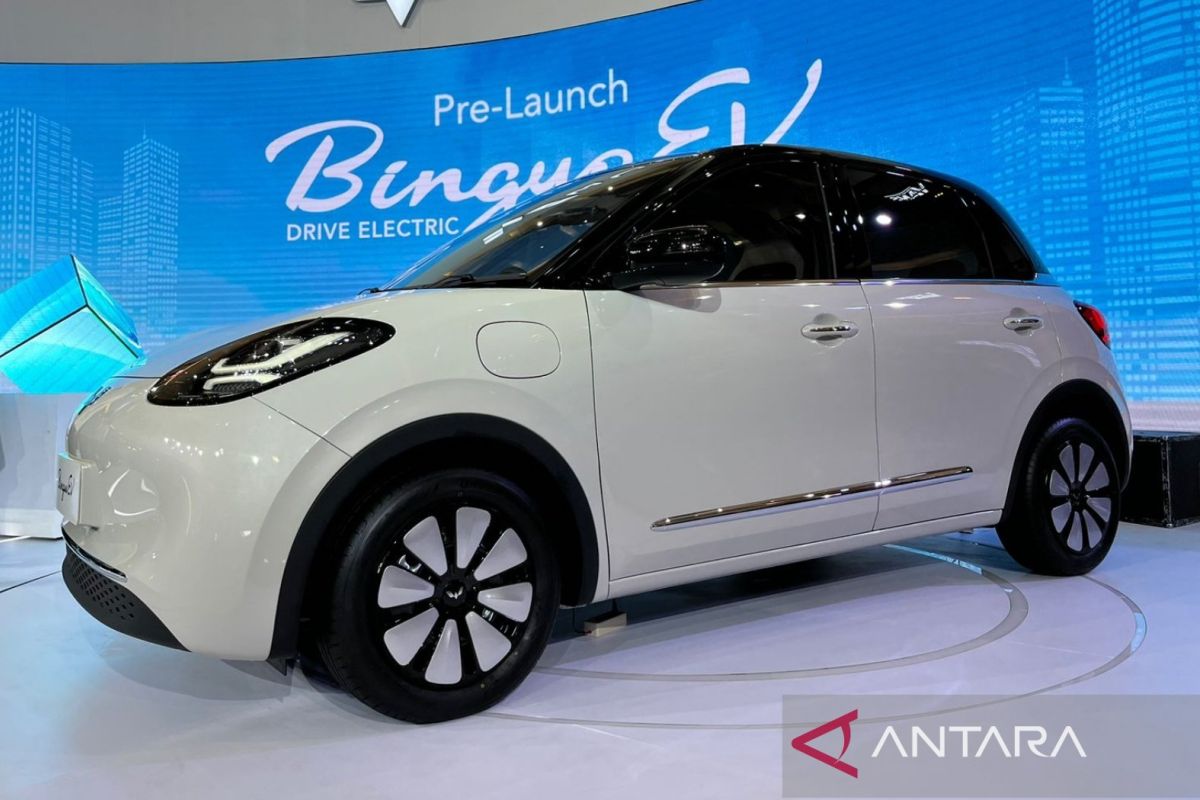 Alasan Wuling BinguoEV hapus fitur perintah suara WIND