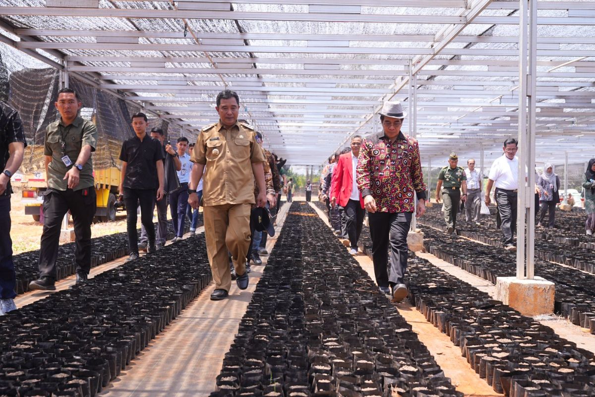 Pj Gubernur Sulsel instruksikan pembangunan sekolah hortikultura