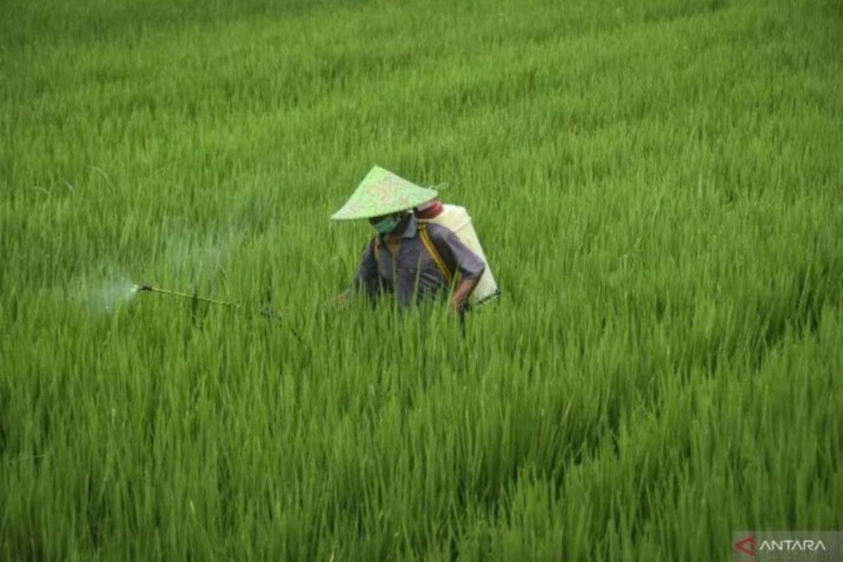 BRIN: Indonesia perlu perkuat kemandirian pangan berbasis teknologi