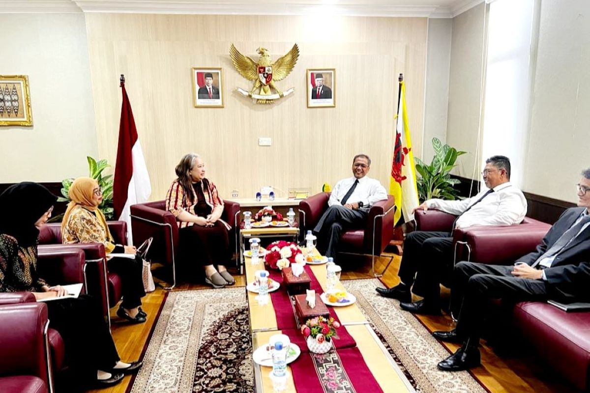 Indonesia berpeluang kirim tenaga perawat ke Brunei