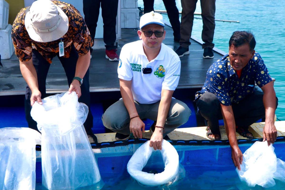 Baznas DKI berikan 24.000 benih ikan kepada kelompok tani Pulau Tidung